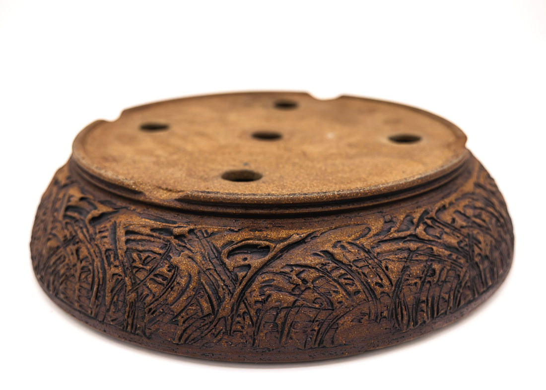 Artist Spotlight: Sara Rayner, America's Foremost Bonsai Potter