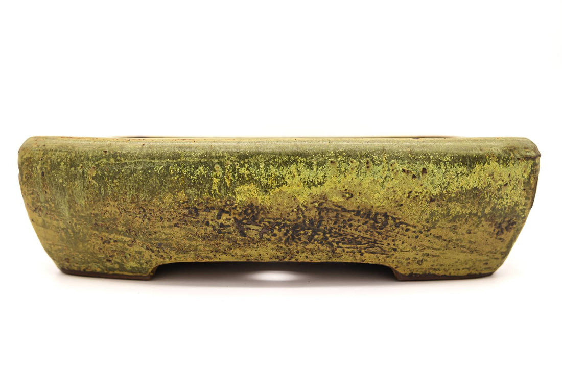 A Field Guide to Bonsai Pot Shapes