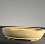 Hattori cream glazed oval bonsai pot front profile