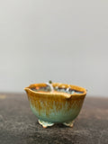 Fuka (Kiyoshi Koiwai) Lotus-Rim Shohin – Amber over Celadon Crackle
