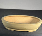 Hattori cream glazed oval bonsai pot three quarter view