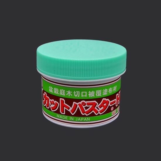 DEN Cut Paste, 190g — Conifer Formula