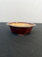 9x7 Inch Koyo Rinka Bonsai Pot – Cinnabar Glaze, Chop Marked