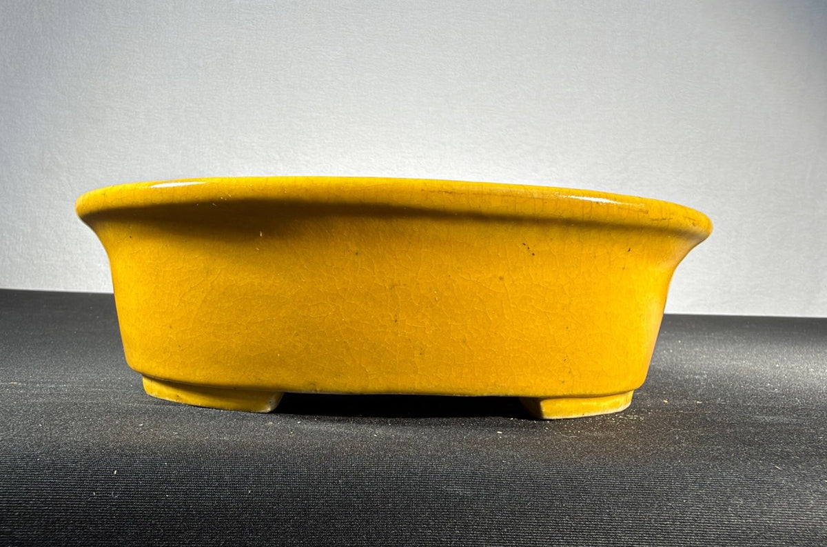 Koyo Yellow Glazed Oval Bonsai Pot 8 x 6.5 x 2