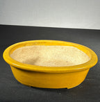 Koyo Yellow Glazed Oval Bonsai Pot 8 x 6.5 x 2