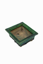Small Rectangular Green Bushuan Japanese Bonsai Pot #561– Heavy Drip Glaze, Flared Rim, Precision Cut Feet, Deep Color
