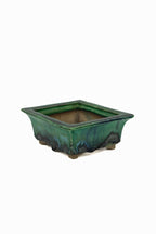 Small Rectangular Green Bushuan Japanese Bonsai Pot #561– Heavy Drip Glaze, Flared Rim, Precision Cut Feet, Deep Color
