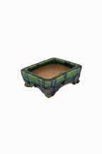 Small Rectangular Green Bushuan Japanese Bonsai Pot – Heavy Drip Glaze, Hand Carved, Cloud Feet, Chop Mark