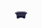 Small Rectangle Ruri Blue Bushuan Japanese Bonsai Pot – Heavy Drip Glaze, Flared Rim, Hand Carved, Chop Mark