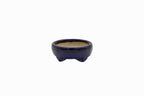 Small Rectangle Ruri Blue Glazed Japanese Bonsai Pot – Bushuan Kiln, Double Chop, Deep Glaze, Cloud Feet, Glazed Bottom