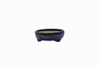 Small Rectangle Ruri Blue Glazed Japanese Bonsai Pot – Bushuan Kiln, Double Chop, Deep Glaze, Cloud Feet, Glazed Bottom