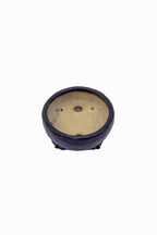 Small Rectangle Ruri Blue Glazed Japanese Bonsai Pot – Bushuan Kiln, Double Chop, Deep Glaze, Cloud Feet, Glazed Bottom