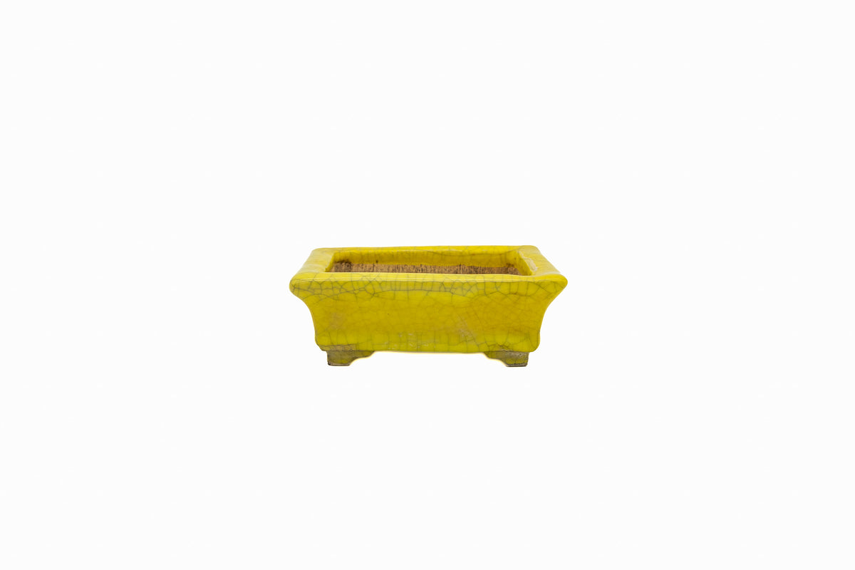 Small Rectangular Yellow Crackled Glaze Japanese Bonsai Pot – Bushuan Kiln, Step Cut Feet, Heavy Drip, Chop Mark