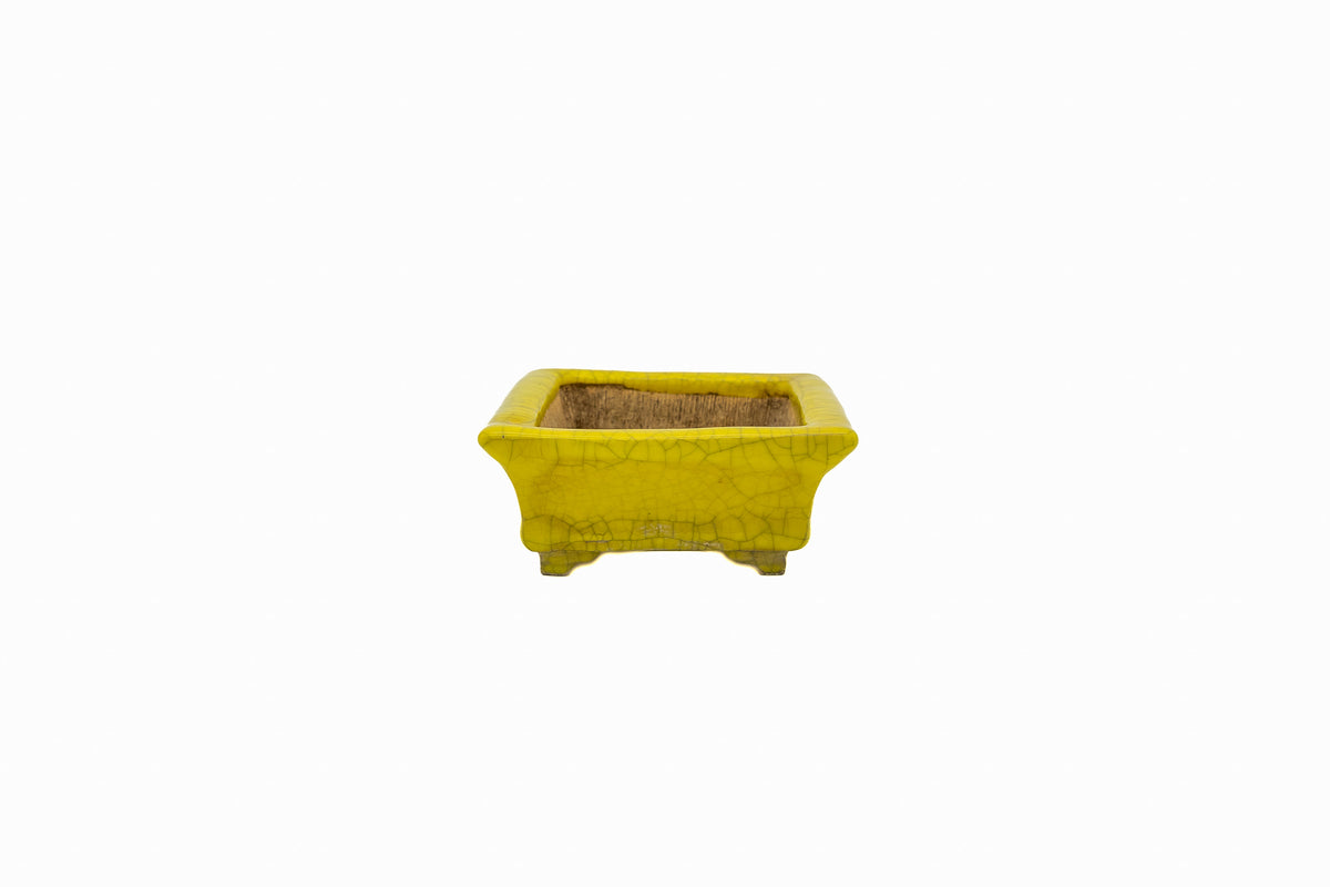 Small Rectangular Yellow Crackled Glaze Japanese Bonsai Pot – Bushuan Kiln, Step Cut Feet, Heavy Drip, Chop Mark