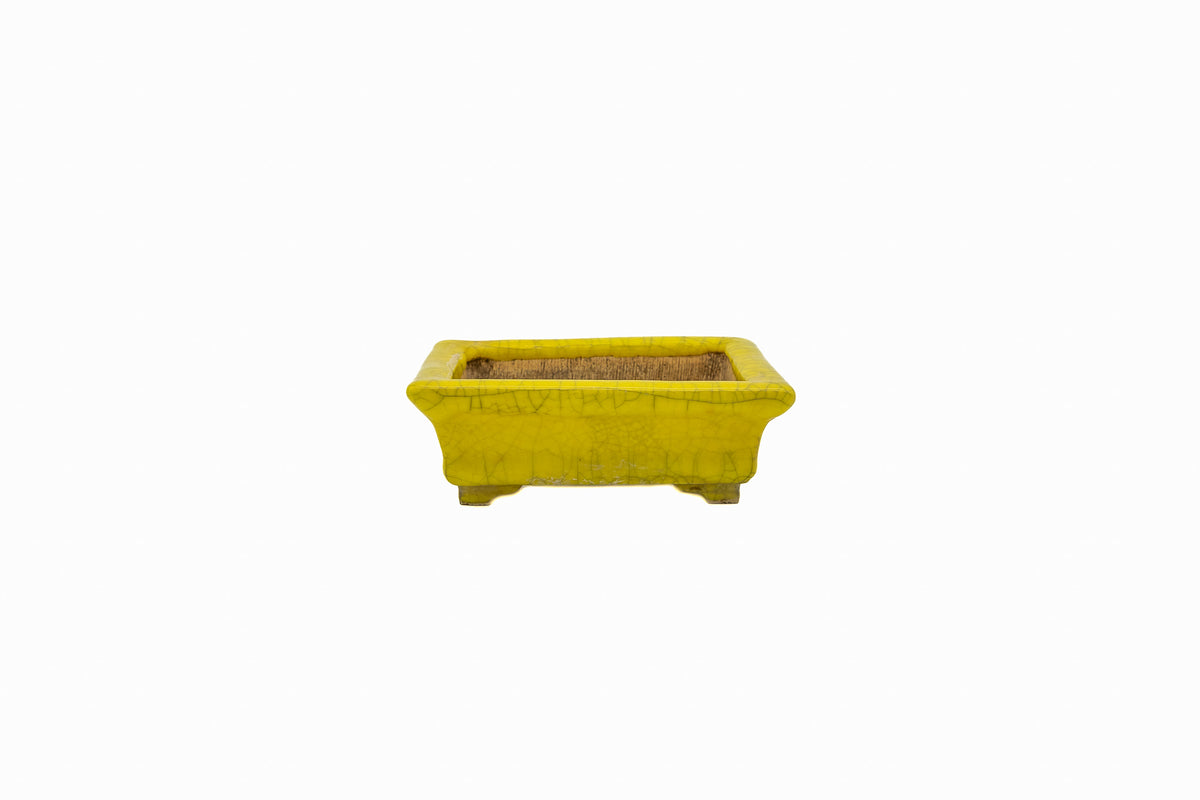 Small Rectangular Yellow Crackled Glaze Japanese Bonsai Pot – Bushuan Kiln, Step Cut Feet, Heavy Drip, Chop Mark