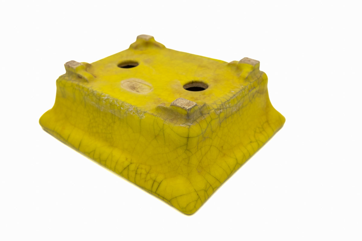 Small Rectangular Yellow Crackled Glaze Japanese Bonsai Pot – Bushuan Kiln, Step Cut Feet, Heavy Drip, Chop Mark