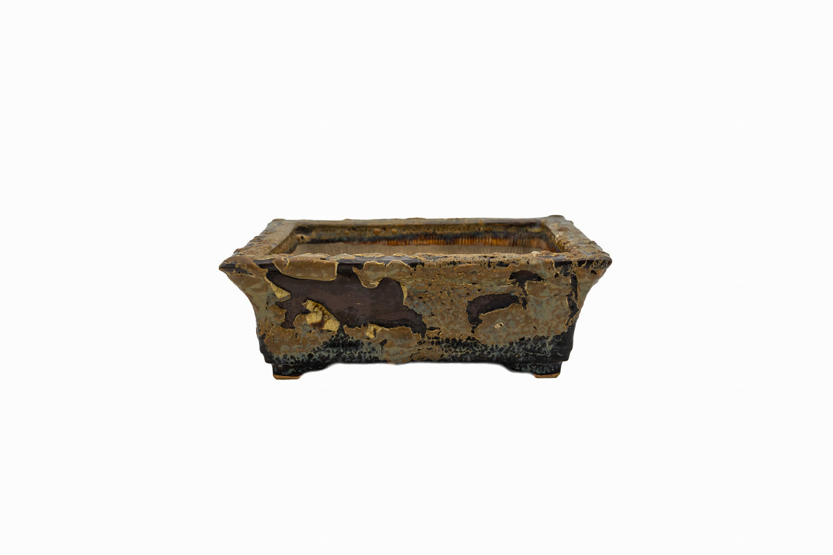 Small Rectangular Rustic Multi-Colored Glazed Japanese Bonsai Pot #705– Bushuan Kiln, Bold Feet, Hand Formed, Glazed Bottom, Chop Mark