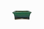 #719 Medium Rectangle Oribe Green Bushuan Japanese Bonsai Pot – Hand Formed Foo-Dog Double Chop Cloud Feet Extended Rim