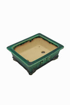 #719 Medium Rectangle Oribe Green Bushuan Japanese Bonsai Pot – Hand Formed Foo-Dog Double Chop Cloud Feet Extended Rim