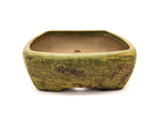 Large Rectangular Yellow Glazed Sara Rayner Bonsai Pot – Flat Inverted Rim, Round Corners, Nail Signature USA