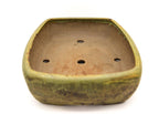 Large Rectangular Yellow Glazed Sara Rayner Bonsai Pot – Flat Inverted Rim, Round Corners, Nail Signature USA