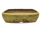 Large Rectangular Yellow Glazed Sara Rayner Bonsai Pot – Flat Inverted Rim, Round Corners, Nail Signature USA