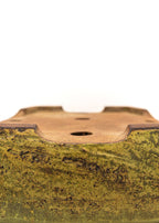 Large Rectangular Yellow Glazed Sara Rayner Bonsai Pot – Flat Inverted Rim, Round Corners, Nail Signature USA