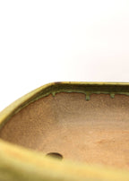 Large Rectangular Yellow Glazed Sara Rayner Bonsai Pot – Flat Inverted Rim, Round Corners, Nail Signature USA
