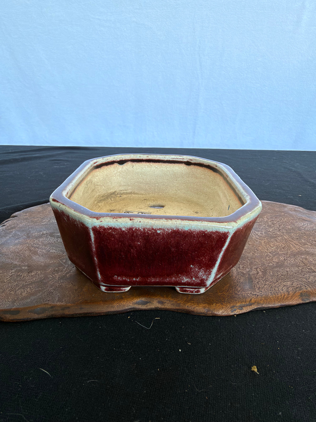 7x5x2 Inch Koyo Octagonal Bonsai Pot #642 – Cinnabar Glaze, Fan Stamp