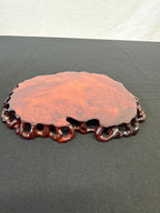 Burl Root-Form Jita Display Board, Signed Kouzan