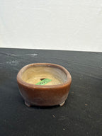 4x3x1.25 Inch Tousui Oval Bonsai Pot – Satin Brown Glaze, Iron Speckle