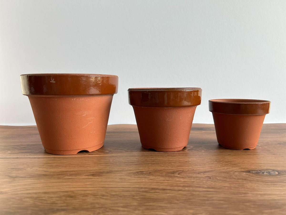 Tokoname Unglazed Training Pot — High-Fired Japanese Terra Cotta
