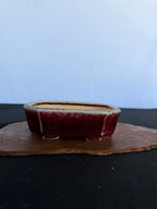 7x5x2 Inch Koyo Octagonal Bonsai Pot #642 – Cinnabar Glaze, Fan Stamp