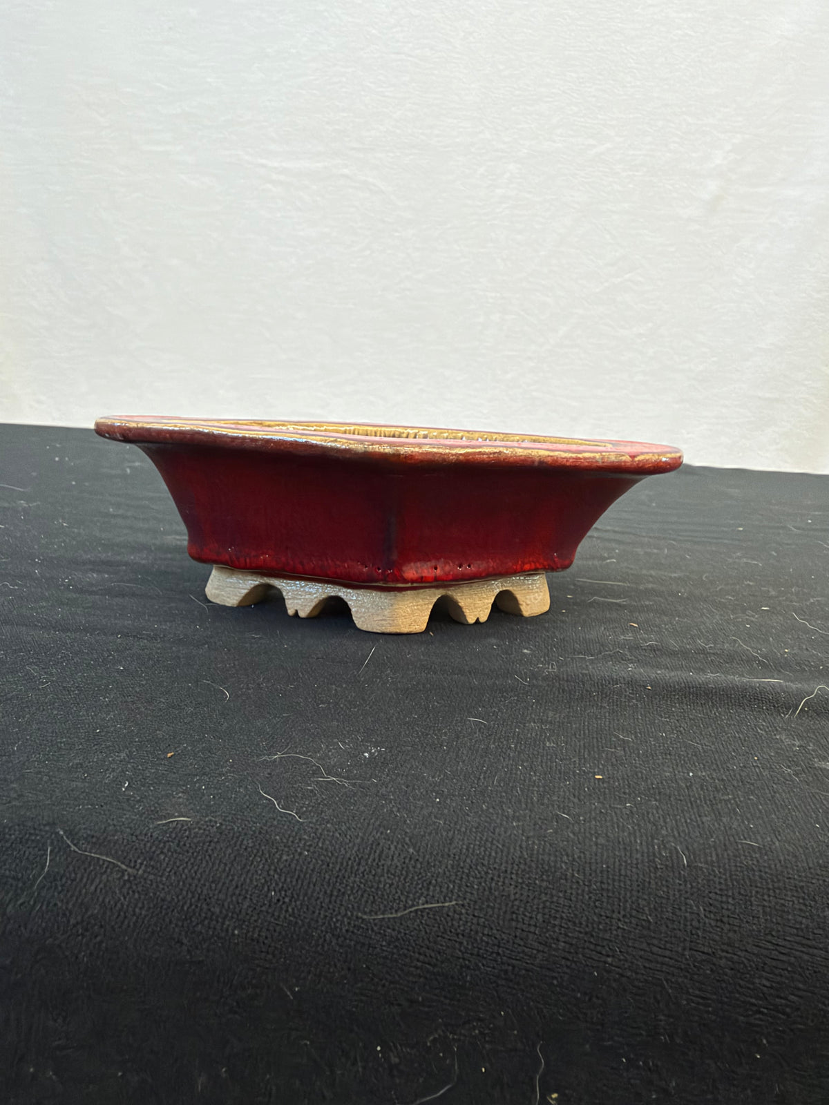 7x5x2 Inch Syaraku Handmade Bonsai Pot – Red Diamond on Cloud Feet