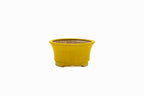 Small Round Yellow Glazed Biko Kiln Japanese Bonsai Pot – Vintage Medallion Chop