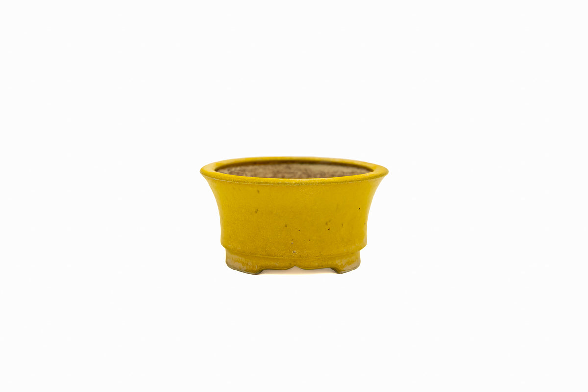 Small Round Yellow Glazed Biko Kiln Japanese Bonsai Pot – Vintage Medallion Chop