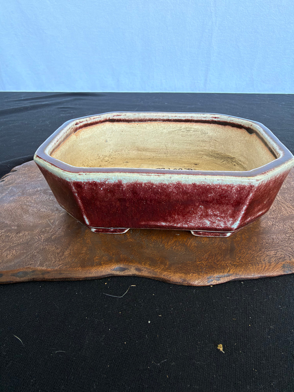 7x5x2 Inch Koyo Octagonal Bonsai Pot #642 – Cinnabar Glaze, Fan Stamp
