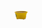 Small Round Yellow Glazed Biko Kiln Japanese Bonsai Pot – Vintage Medallion Chop