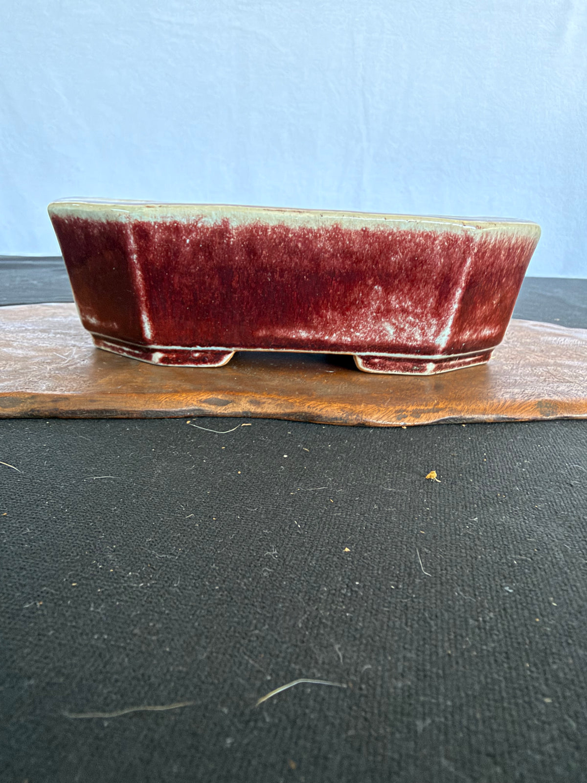 7x5x2 Inch Koyo Octagonal Bonsai Pot #642 – Cinnabar Glaze, Fan Stamp