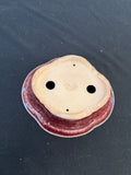 9x7 Inch Koyo Rinka Bonsai Pot – Cinnabar Glaze, Chop Marked