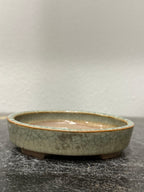 Syunzan Crackle Celadon Oval – Iron Rim