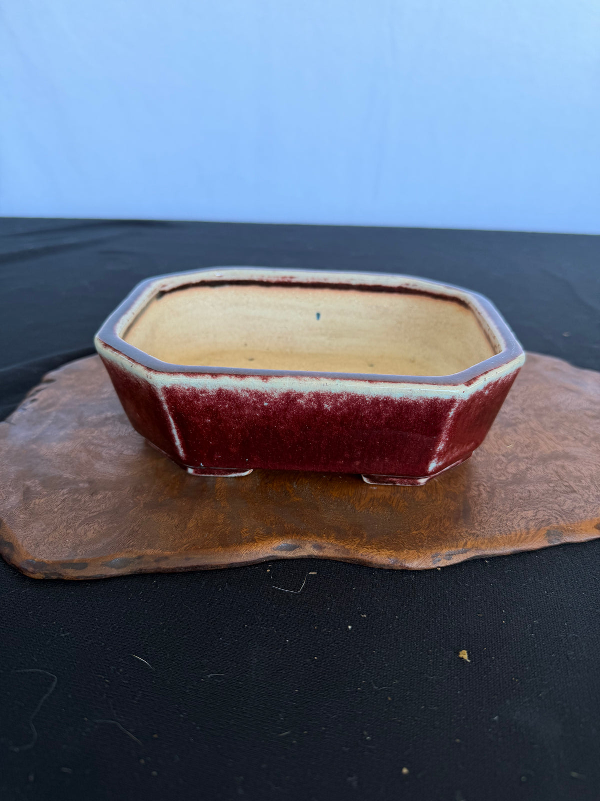 7x5x2 Inch Koyo Octagonal Bonsai Pot #642 – Cinnabar Glaze, Fan Stamp