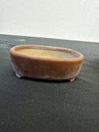 4x3x1.25 Inch Tousui Oval Bonsai Pot – Satin Brown Glaze, Iron Speckle