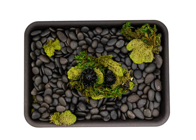 Bonsai Fertilizer baskets (shohin)
