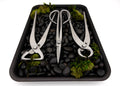 The Bonsai Den – Core Series 3‑Piece Premium Tool Set