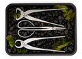 The Bonsai Den – Core Series 3‑Piece Premium Tool Set