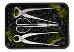 The Bonsai Den – Core Series 3‑Piece Premium Tool Set