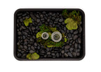 Bonsai Fertilizer baskets Metal combo pack