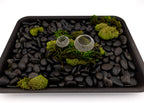 Bonsai Fertilizer baskets Metal combo pack