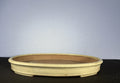 28x19x3 Inch Yamaaki Oval Bonsai Pot – Pale Cream, Wide and Shallow